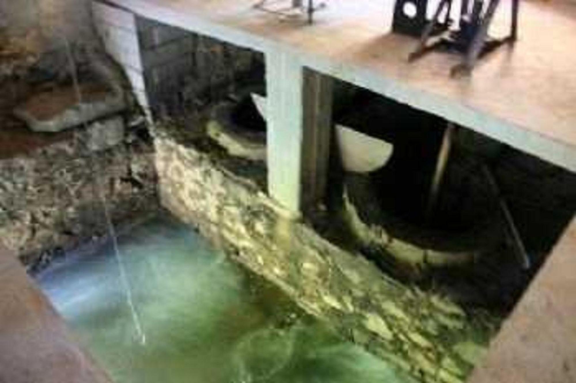 Ayherre Chambre D'Hotes Moulin Urketa المظهر الخارجي الصورة