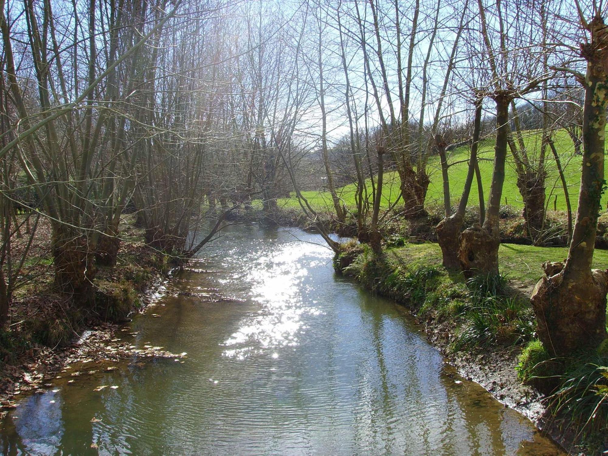 Ayherre Chambre D'Hotes Moulin Urketa المظهر الخارجي الصورة